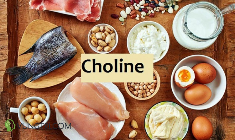 Choline 1